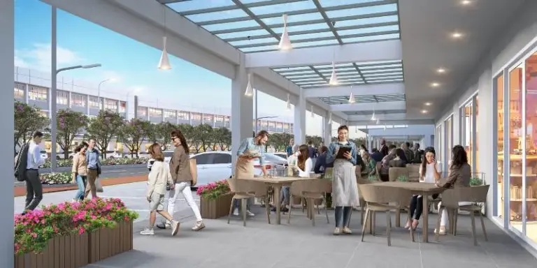 Calico Grande Paramount Petals