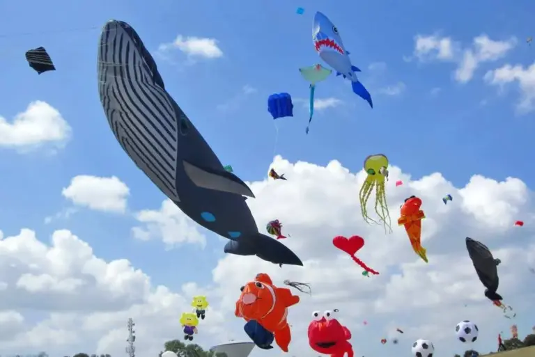 Socia Garden Karawang Gelar Festival Layang-Layang Spektakuler socia garden