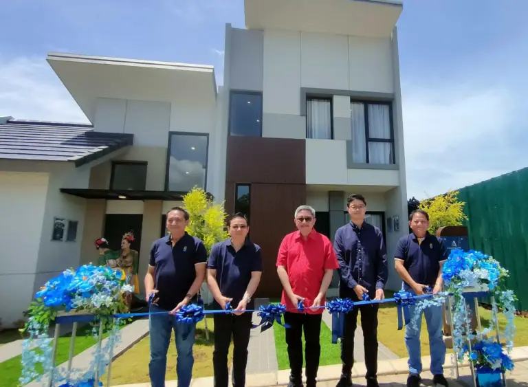 Synthesis Development